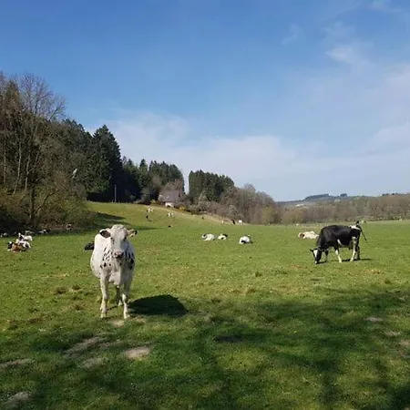Belke Schmallenberg